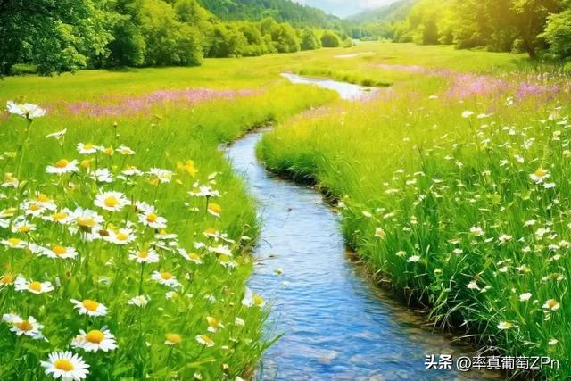 狮子座性格解析:自尊心强,喜欢被赞扬的星座王者