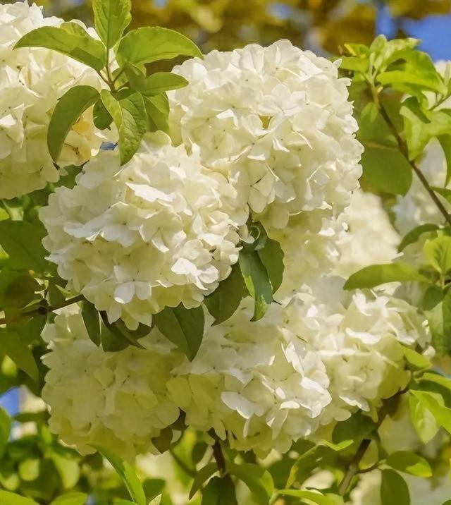 天秤座的喜欢，有哪几个层次？心动不难，爱上也不难，习惯更难。