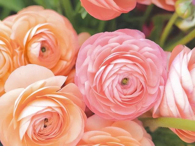 天秤座的喜好：轻易心动，容易爱上，难以习惯