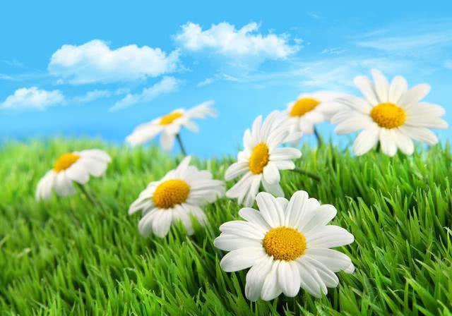 星座中享受生活仪式感的个性，有人品味过程，有人追求浪漫情调