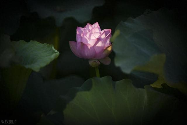 射手座命中注定的良缘！与这3星座结婚，堪称‘帝王配’！