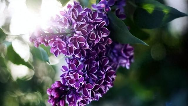 不了解射手座的四大克星,避免深交