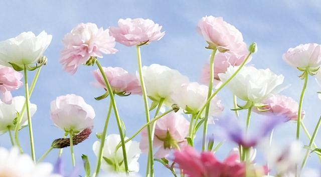 星座女的魅力何在?让前任念念不忘