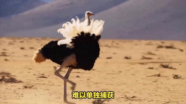 谁是狮子的“克星”?身高3米爱吃素的独角兽!