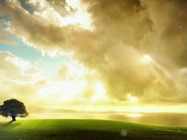 金牛座的性格特点和星座配对