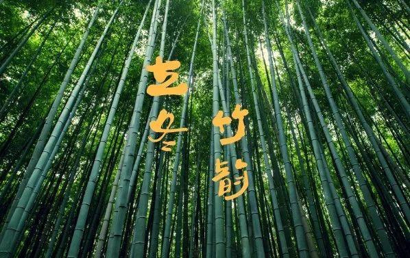 曹操手下十大谋士:谁的智谋最高?曹操最信任的又是谁?