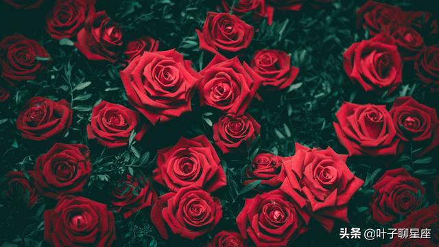 三个容易陷入暧昧的星座,总是踏入花丛却抓不住真爱