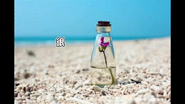 水瓶座人的理想伴侣：情绪稳定且理解沟通的人