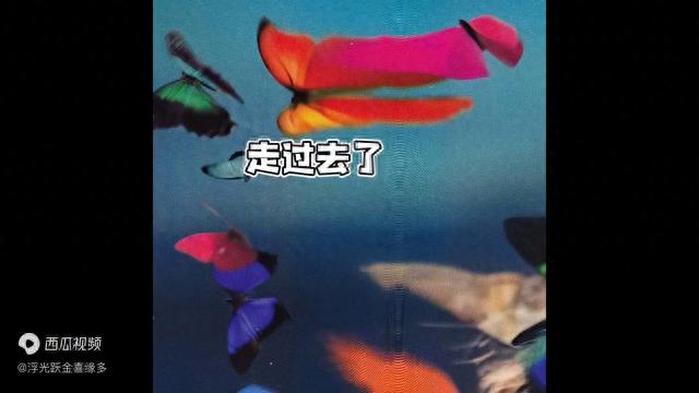 双鱼座感情现状:花开生两面,人生佛魔间,一念成佛