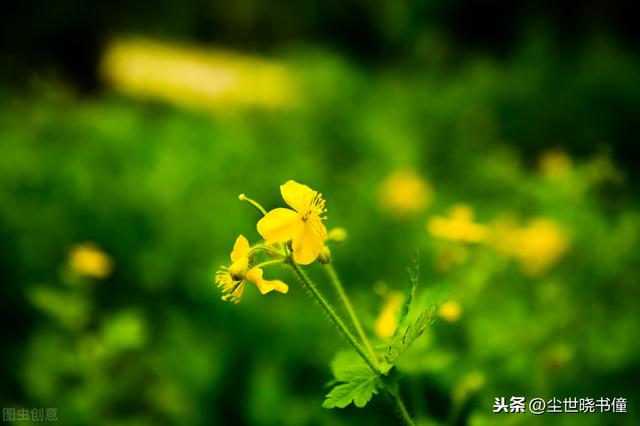 贺知章经典诗作:文人王维也为之赞叹