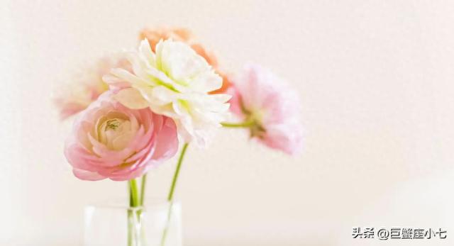 天蝎座：强大却反叛，冷漠高手其实需被哄，一招就懂