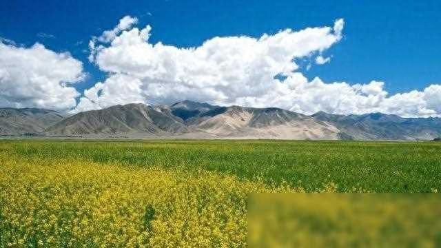 最具吸引力的3大星座,最能吸引狮子座的注意