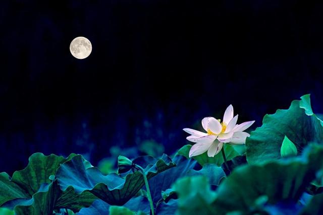 处女座的唯一幸运数字和颜色分别是哪一个?