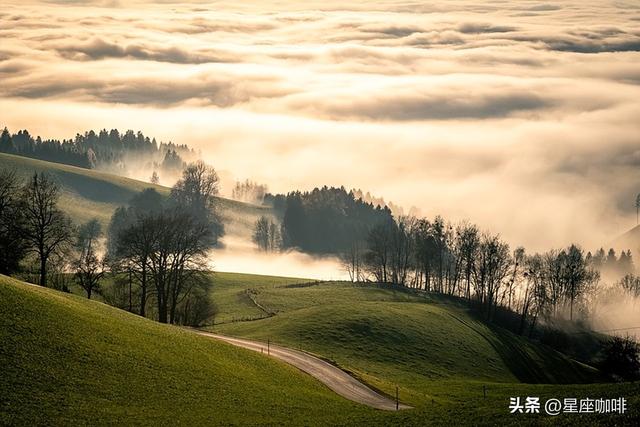 狮子座的独有优势是什么？