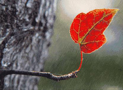 - 卢照邻:曾名动京华,终自投颍水,半生病魔缠身,却挥洒最美情诗