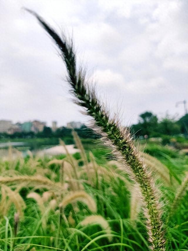 永不回头的星座个性特点