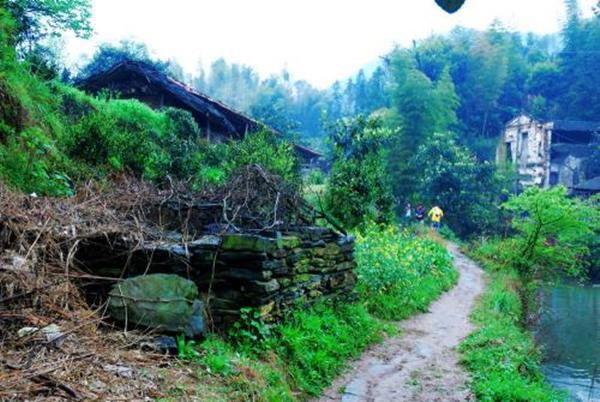 陆游经典七律：小楼听春雨，深巷卖杏花