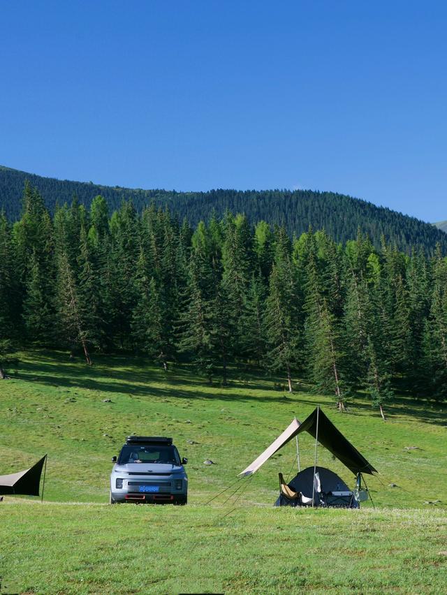 与狮子座注定相爱的星座!