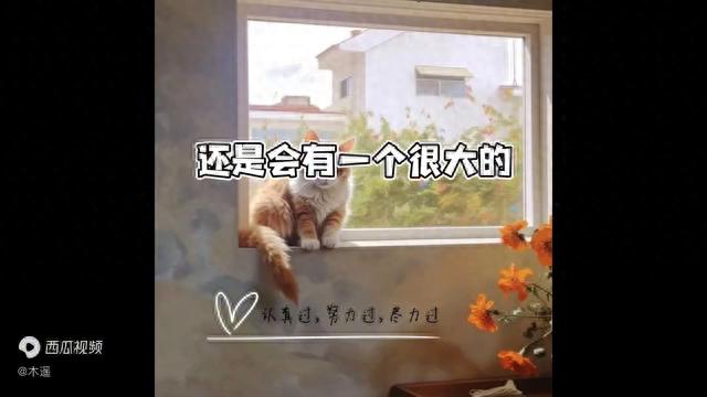 天秤座：拒绝新欢，守护自己的心，无法抵挡前任的诱惑，愿余生相依为伴