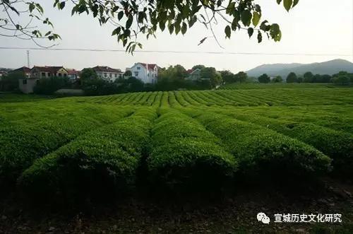 宋代宣州知州群体研究（七）：脉络纵横，文治风范