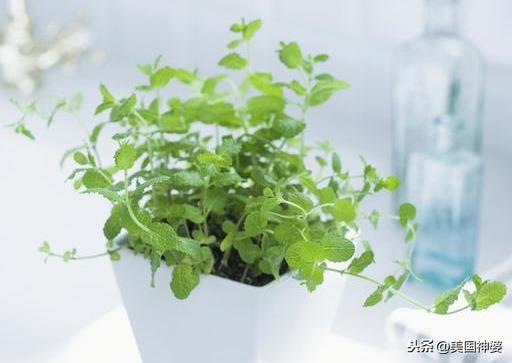 

深谙莫测，吸引力无限：4个星座的优点和魅力