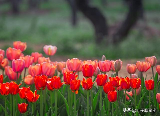 摩羯座与处女座：一起安慰不要慌，共同陪伴地久天长