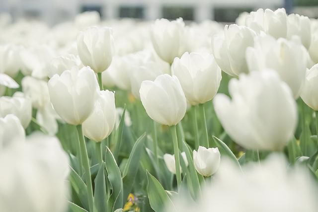 双子座不容触碰的“高压线”，背后隐藏着什么秘密？