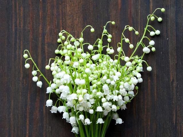 金牛座最怕的事情是付出全部的热情，却得不到对方的回应。