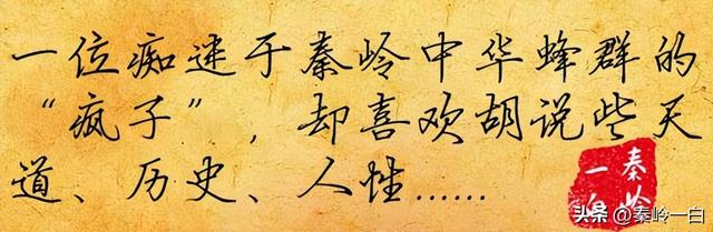 大哥苏轼的知名度胜过苏辙，但结局或许更为幸运