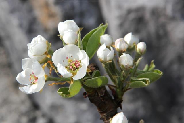 深入了解:前任对处女座的影响和威胁指数