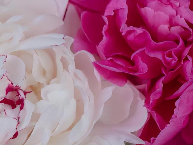 不解释却走心的星座:他们的优点经得起时间的考验