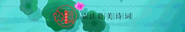 龙的化身——辛弃疾的传奇生涯