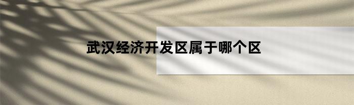 哪一個區屬于武漢經濟開發區？