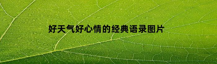 好天氣、好心情的經典語錄介紹。圖片