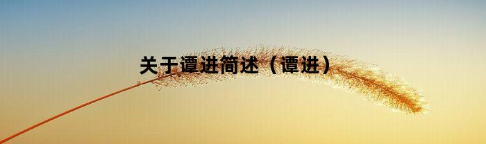 簡述譚進