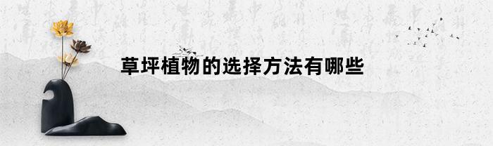 草坪植物如何選擇？