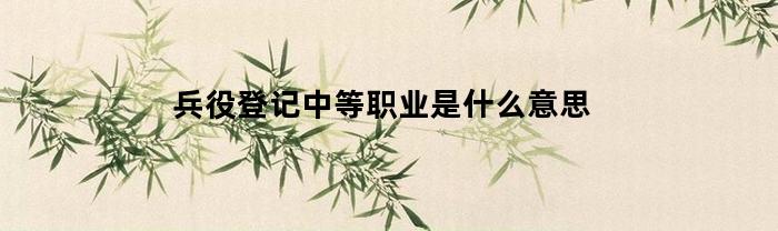 兵役登记中的中等职业有哪些？