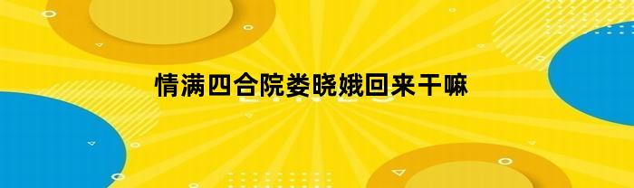 情滿四合院：婁曉娥回來干什么？
