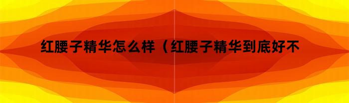 紅腰子精華如何？