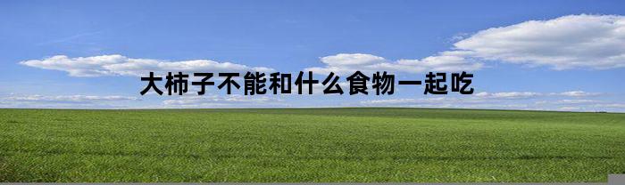 大柿子不能和哪些食物一起吃