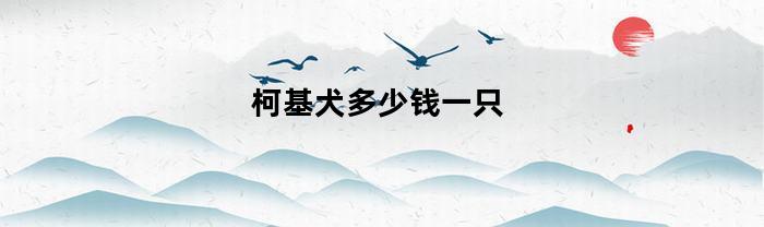 柯基一只多少錢