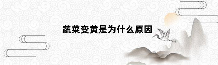 蔬菜水果發(fā)黃是因?yàn)槭裁淳壒? /></a>
                    </div>
                    <div   id=