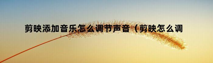 如何調整聲音的大小？