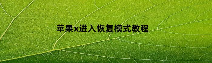 苹果X进入恢复模式教程：简单指南