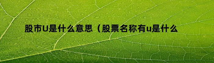 股票市場U代表什么意思？