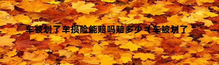 車被劃了車損能賠嗎？賠多少？