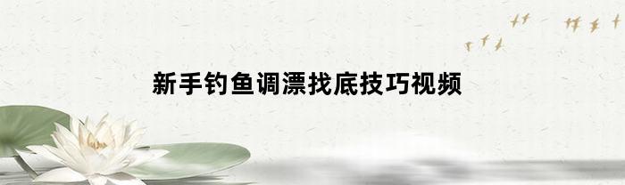 新手釣魚調漂找底技巧視頻