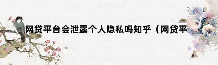 网上贷款平台的个人隐私保护问题：是否存在泄露个人隐私的风险？