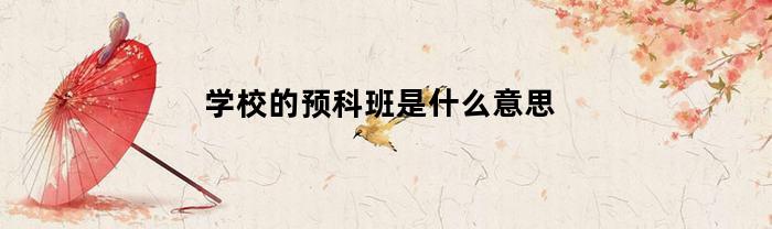 學校預科班是什么