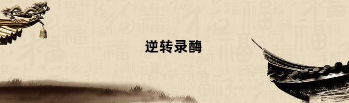 逆轉(zhuǎn)錄酶，相關(guān)內(nèi)容介紹
